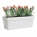 Plant pot Artevasi White 57,9 x 24,3 x 22 cm