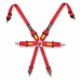 Harness with 6 fastening points Fia Racing OCC Motorsport