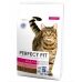 Comida para gato Perfect Fit Active 1 7 kg Adultos Carne de vacuno