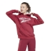 Moteriškasdžemperis su gobtuvu Reebok Identity Raudona