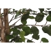 Koks Home ESPRIT Polietilēns Vīģe 100 x 100 x 210 cm