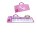 Piano de brincar Disney Princess Eletrónico Dobrável Cor de Rosa