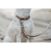 Hondenhalsband Hunter Inari Beige M 30-45 cm