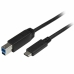 Cablu USB C la USB B Startech USB315CB2M           (2 m) Negru
