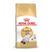 Mâncare pentru pisici Royal Canin Ragdoll Adult Adult 2 Kg