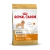 Fôr Royal Canin Poodle Adult Voksen 1,5 Kg