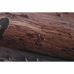 Kép Home ESPRIT Nyomtatott Űrhajós 150 x 0,04 x 100 cm