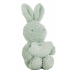 Детский подарочный набор Coralina Плюшевый Одеяло Кролик 100 x 75 cm