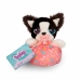 Plyšový psík IMC Toys Baby Paws 11,4 x 14,5 x 9,6 cm