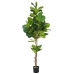 Dekorationspflanze Polyurethan Zement Ficus 200 cm