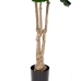 Decorative Plant Polyurethane Cement Fig Tree 175 cm