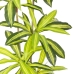 Planta Decorativa Poliuretano Cimento 180 cm