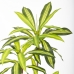 Dekorativní rostlina Polyuretan Cement 180 cm