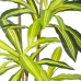 Planta Decorativa Poliuretano Cimento 180 cm