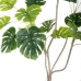 Διακοσμητικό Φυτό Πολυουρεθάνιο Τσιμέντο Monstera 180 cm