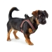 Imbracatura per Cani Hunter Comfort Rosa XS 35-37 cm