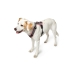 Imbracatura per Cani Hunter Maldon Up Rosa 38-62 cm