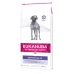 Fôr Eukanuba Dermatosis FP for Dogs Fisk Voksen 12 kg