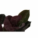 Dekorativna rastlina DKD Home Decor Zelena PE (40 x 40 x 90 cm)