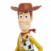 Veiklos rodikliai Mattel Woody