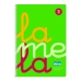 Notebook Lamela Verde Din A4 5 Piese 80 Frunze