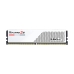 RAM-hukommelse GSKILL F5-6000J3040G32GX2-RS5W DDR5 64 GB cl30