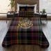 Пух Harry Potter Classic Hogwarts Многоцветен 250 g/m² 250 x 270 cm 250 x 4 x 270 cm 150 легло