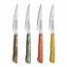 Meat Knife Set San Ignacio Evergreen BGEU-6076 Multicolour Stainless steel (4 Units)