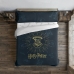 Bettdeckenbezug Harry Potter Dormiens Draco 180 x 220 cm Einzelmatratze