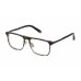 Мъжки Рамка за очила PHILIPP PLEIN VPP019M-530XAS-21G Сив Ø 53 mm