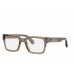 Glasögonbågar PHILIPP PLEIN VPP082M-5209X8-22G Brun Ø 52 mm