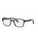 Glasögonbågar PHILIPP PLEIN VPP083M-5209RM-22G Grå Ø 52 mm
