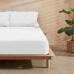 Fitted bottom sheet Decolores Liso White 140 x 200 cm Smooth