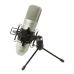 Mikrofonas Tascam TM-80 Auksas