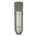 Microfoon Tascam TM-80 Goud