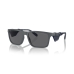 Solbriller til mænd Emporio Armani EA 4219
