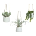 Decorative Plant 800073 Succulent 20 cm For hanging Artificial