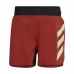 Sportske Kratke Hlače Adidas Terrex Agravic Crvena Smeđa