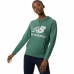 Moteriškasdžemperis su gobtuvu New Balance Žalia