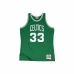 Basketball-skjorte Mitchell & Ness Boston Celtics Larry Bird 33 Grønn