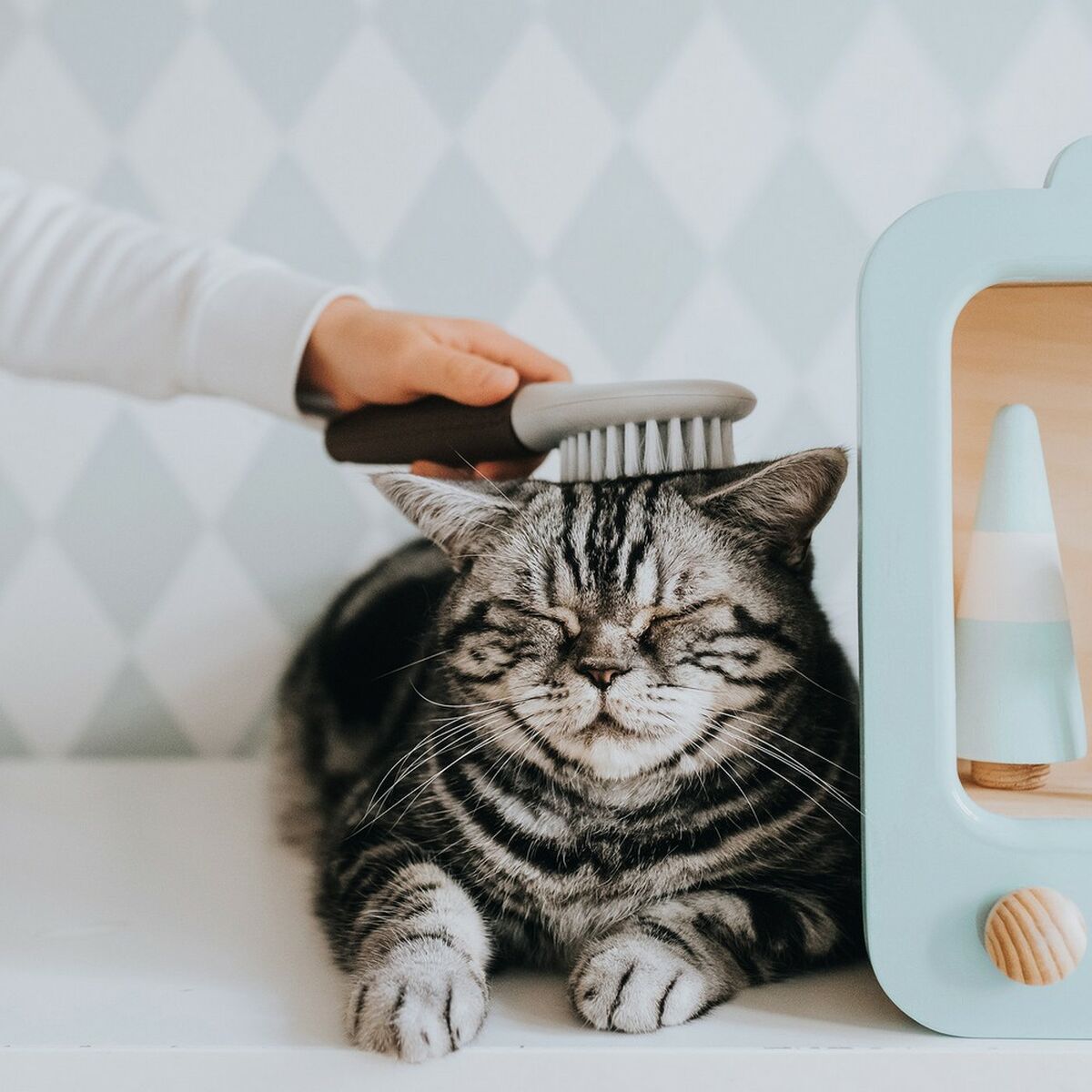 Kefa pre Psov Hunter Extra Soft