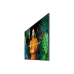 Écran Videowall Samsung QH75C 4K Ultra HD 75