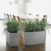 Plant pot Lechuza 75 x 30 x 43 cm Plastic Rectangular