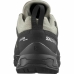 Беговые кроссовки для взрослых Salomon X Ward Бежевый Темно-серый GORE-TEX Кожа гора