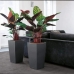 Samozavlažovací květináč Lechuza Antracit 39,5 x 39,5 x 75,5 cm Polypropylen Plastické