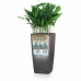 Samozavlažovací kvetináč Lechuza Gaštanová 39,5 x 39,5 x 75,5 cm Plastické Obdĺžnikový