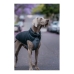 Палто за Куче Red Dingo Puffer Черен/Сив 60 cm