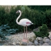 Decoratief tuinfiguur Ubbink Hars Roze flamingo