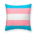 Spilvendrāna Belum Trans Pride Daudzkrāsains 50 x 50 cm