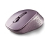 Mouse NGS DEWLILAC Lila